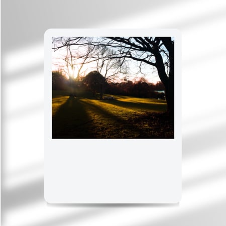 فلاتر لايت روم