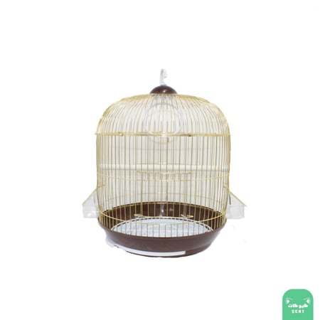قفص طيور ذهبي