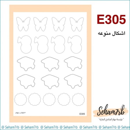 E305