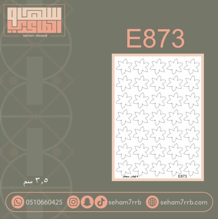 E873