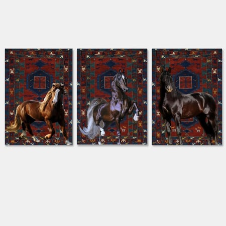 ثلاث لوحات جدارية مع برواز واكريلك شفاف بتصميم حصان