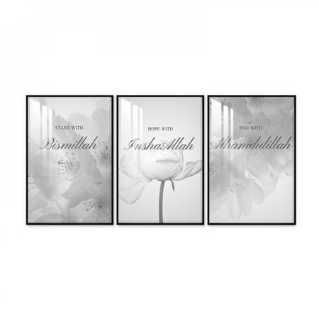 ثلاث لوحات جدارية مع برواز واكريلك شفاف