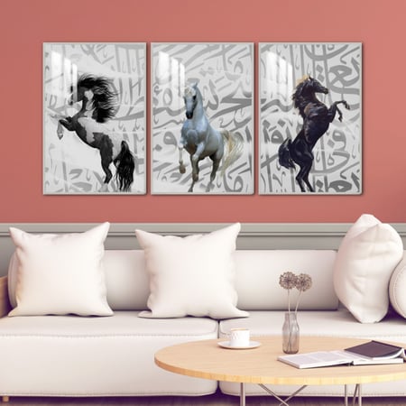 ثلاث لوحات جدارية مع برواز واكريلك شفاف