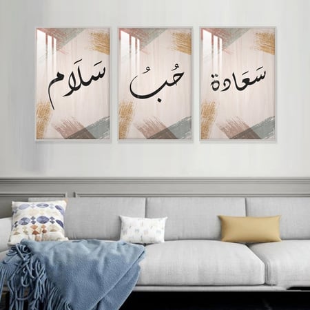 ثلاث لوحات جدارية مع برواز واكريلك شفاف