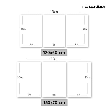 ثلاث لوحات جدارية مع برواز واكريلك شفاف