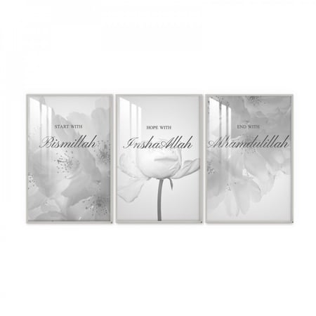 ثلاث لوحات جدارية مع برواز واكريلك شفاف