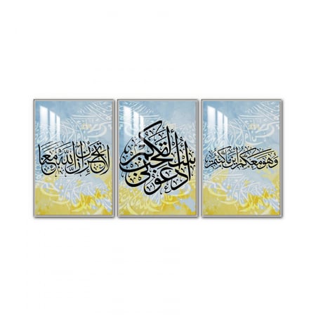 ثلاث لوحات جدارية مع برواز واكريلك شفاف