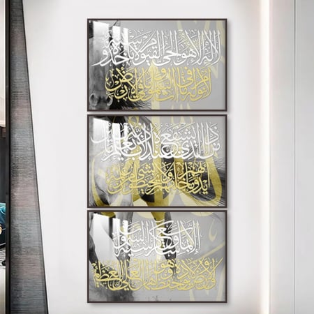 ثلاث لوحات جدارية مع برواز واكريلك شفاف