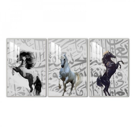 ثلاث لوحات جدارية مع برواز واكريلك شفاف