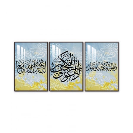 ثلاث لوحات جدارية مع برواز واكريلك شفاف