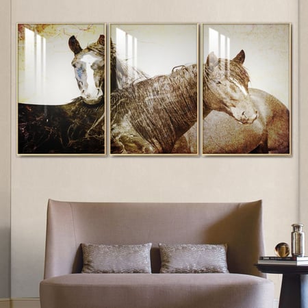 ثلاث لوحات جدارية مع  برواز واكريلك شفاف