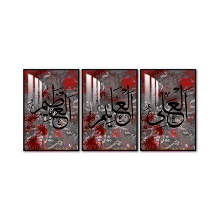 ثلاث لوحات جدارية مع برواز واكريلك شفاف