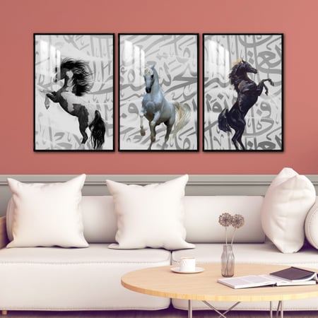 ثلاث لوحات جدارية مع برواز واكريلك شفاف