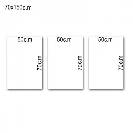 ثلاث لوحات جدارية مع  برواز واكريلك شفاف