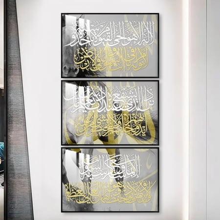 ثلاث لوحات جدارية مع برواز واكريلك شفاف