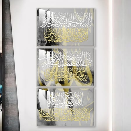 ثلاث لوحات جدارية مع برواز واكريلك شفاف