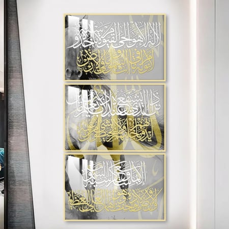 ثلاث لوحات جدارية مع برواز واكريلك شفاف