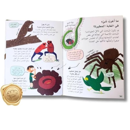 أسئلة وأجوبة طريفة عن (الغابات المطيرة)