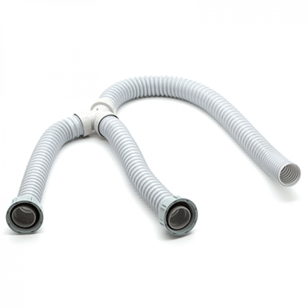 لي هراب مجوز كوري