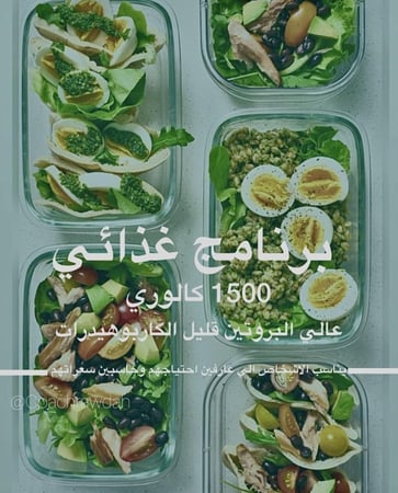 نظام غذائي 1500 عالي البروتين