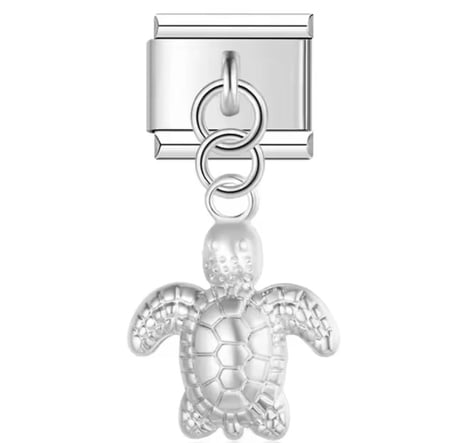 تشارمز سلحفاه معلق