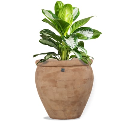 6377 مركن تراكوتا اسطوانى بيج حزام