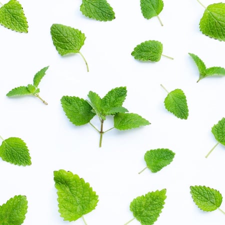 معجون أسنان بالنعناع لنفس منعش 100 جرام