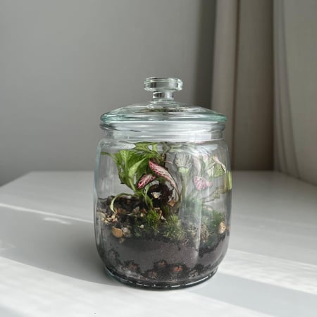 تيراريوم وسط