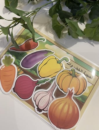 احجية تصنيف الخضروات الجذرية وغير جذرية تحوي قاعدة مقاس a4 طباعة ملونة ومغلفة حراريا ومزودة بشك شاك + اربعك قطع خضروات جذرية مزودة بشك شاك + اربعة قطع خضروات غير جذرية مزودة بشك شاك جميعها طباعة ملونة ومغلفة حراريا