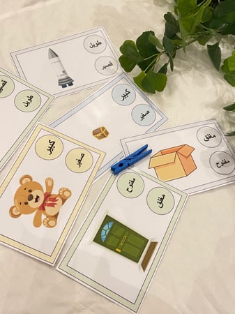 بطاقات المتضادات الشئ وعكسه لتهيئة الطفل ( 6 بطاقات مقاس A4 طباعة ليزر ومغلفة حراريًا ، مشبك خشبي ملون )