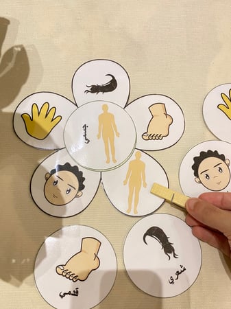 زهرة اعضاء جسمي ( زهرة طباعة ليزر ومغلفة حراريًا مزودة بشك شاك ، خمس بطاقات مزودة بشك شاك طباعة ليزر ومغلفة حراريًا ، مشبك خشبي )