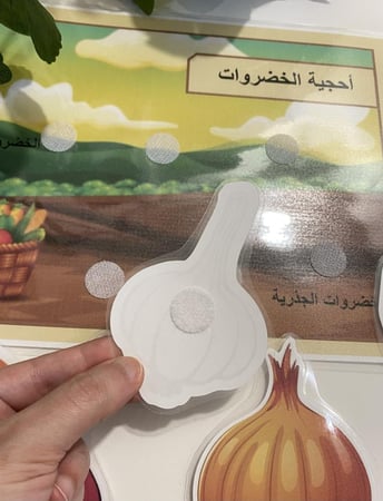 احجية تصنيف الخضروات الجذرية وغير جذرية تحوي قاعدة مقاس a4 طباعة ملونة ومغلفة حراريا ومزودة بشك شاك + اربعك قطع خضروات جذرية مزودة بشك شاك + اربعة قطع خضروات غير جذرية مزودة بشك شاك جميعها طباعة ملونة ومغلفة حراريا