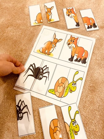 نشاط إدراكي مناسب لوحدة الحيوان مقاس A4 طباعة ليزر ومغلفة حراريا 9 قطع مزودة بشك شاك للصق ..