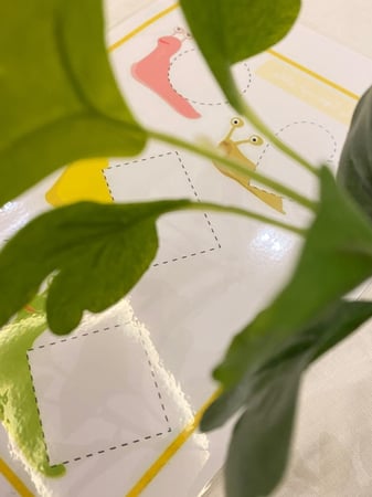 لوحة رسم الأشكال الهندسية لتهيئة الطفل ( مقاس A3 ، قابلة للكتابة والمسح عليها ، طباعة ليزر ومغلفة حراريًا )