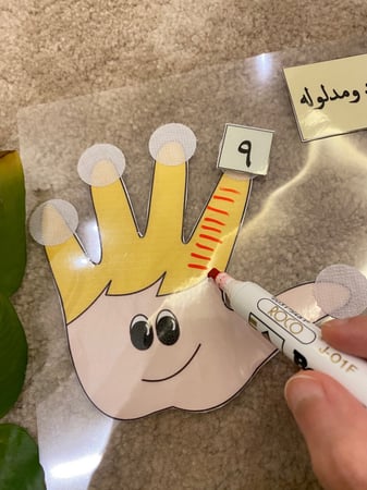 استراتيجية الايدي للعدد ومدلوله ( قاعدة شفافة مقاس a4 مزودة بأيدي طباعة ملونة ومغلفة حراريًا يمكن الكتابة عليها والمسح ، 1 - 20 بطاقة رقم صغيرة مزودة بشك شاك ، قلم سبورة