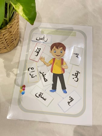 احجية اعضاء جسم الانسان ( قاعدة للاحجية مقاس a4 طباعة ليزر ملونة ومغلفة حراريًا ومزودة بشك شاك + 9 قطع الاحجية باللغة العربية مزودة بشك شاك طباعة ليزر ومغلفة حراريًا)