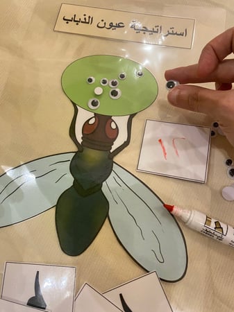 استراتيجية عيون الذباب للعدد ومدلوله ( لوحة مقاس a4 مزودة بخانة للعدد وشك شاك + 10 بطاقات للأرقام العربية + بطاقة مفرغة يمكن الكتابة عليها ومزودة بشك شاك + 20 قطعة عين بمقاسات متعددة ) طباعة ملونة ومغلفة حراريًا