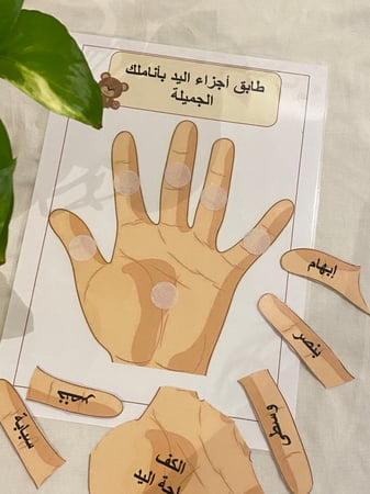 أحجية أجزاء اليد تناسب وحدة الايدي ( لوح قاعدة مقاس a4 مزود بصورة يد وشك شاك طباعة ليزر ومغلف حراريًا ، أجزاء اليد 6 قطع مزودة بشك شاك طباعة ليزر ومغلفة حراريًا )