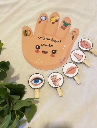استراتيجية اليد مناسبة لمفهوم الحواس ( نشاط إدراكي يحتوي صورة يد مزودة بأشكال طباعة ملونة ومغلفة حراريًا + ستة مشابك خشبية كبيرة مزودة بصور للتطابق طباعة ملونة ومغلفة حراريا )