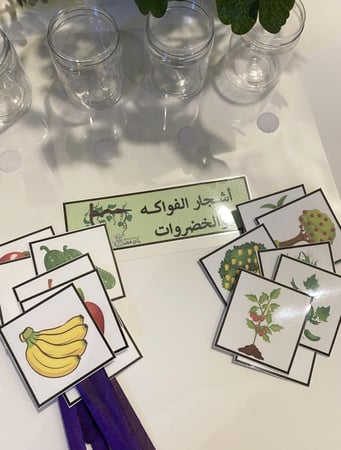 تصنيف الفواكه والخضروات مناسبة لوحدة الغذاء او وحدة النبات ( تحوي على قاعدة مقاس a4 مزودة بشك شاك واربعة علب بلاستيكية شفافة + 8 قطع صور طباعة ملونة ومغلفه حراريًا ومزودة بأعواد خشبية + 8 قطع صور طباعة ملونة ومغلفة حراريًا ومزودة بشك شاك )