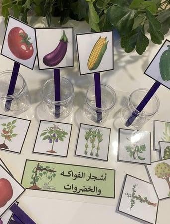 تصنيف الفواكه والخضروات مناسبة لوحدة الغذاء او وحدة النبات ( تحوي على قاعدة مقاس a4 مزودة بشك شاك واربعة علب بلاستيكية شفافة + 8 قطع صور طباعة ملونة ومغلفه حراريًا ومزودة بأعواد خشبية + 8 قطع صور طباعة ملونة ومغلفة حراريًا ومزودة بشك شاك )