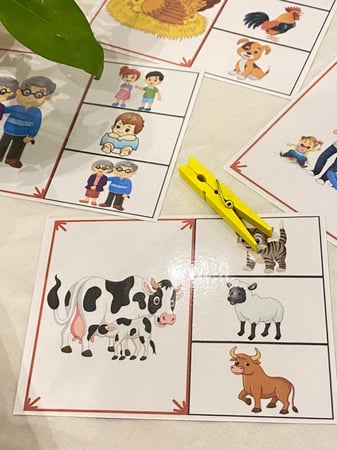 بطاقات وحدة العائلة ( 4 بطاقات مقاس a5 طباعة ليزر ومغلفة حراريًا ، مشبك خشبي ملون )