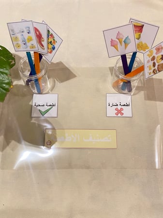 لعبة تصنيف تناسب وحدة الغذاء ، وحدة صحتي وسلامتي ( قاعدة بلاستيك مقاس a4 مزودة بصور وعلبتين بلاستيكية ، 6 صور مزودة بأعواد ايسكريم خشبية )