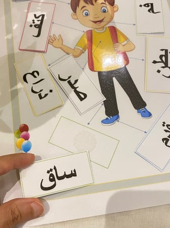 احجية اعضاء جسم الانسان ( قاعدة للاحجية مقاس a4 طباعة ليزر ملونة ومغلفة حراريًا ومزودة بشك شاك + 9 قطع الاحجية باللغة العربية مزودة بشك شاك طباعة ليزر ومغلفة حراريًا)