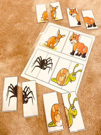 نشاط إدراكي مناسب لوحدة الحيوان مقاس A4 طباعة ليزر ومغلفة حراريا 9 قطع مزودة بشك شاك للصق ..