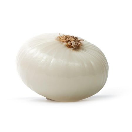 بذور البصل الأبيض ( Allium cepa )