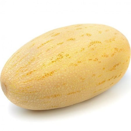 زراعة بذور الشمام