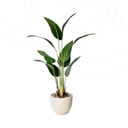 شجرة عصفور الجنة مع حوض بيج دائري ناعم ارتفاع 2.20م