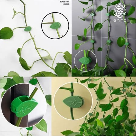 مشبك لأغصان النباتات