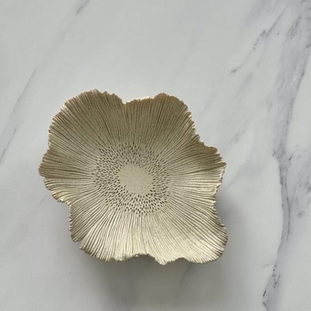 تقديمة مميزة